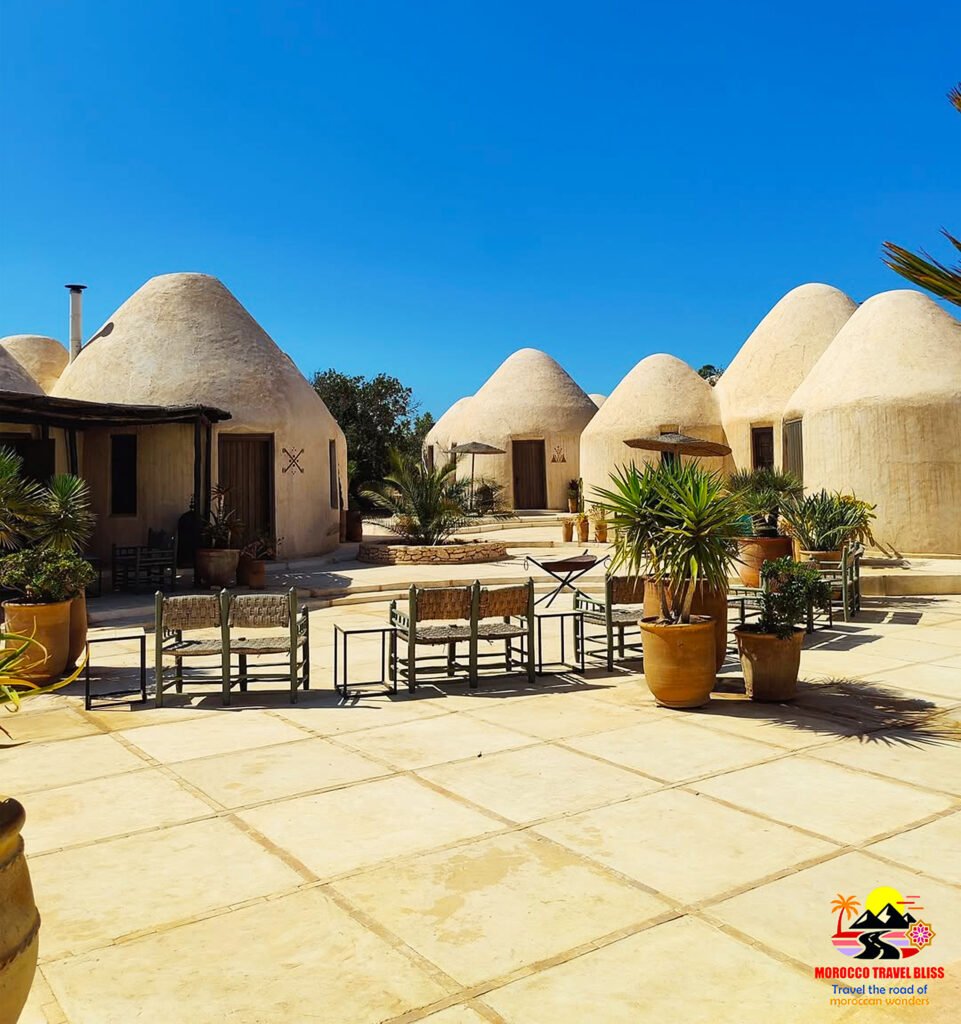 "Essaouira beach view from the medina" "Goats climbing Argan trees in Morocco" "Seaside lunch in Essaouira" "Historic ramparts of Essaouira Kasbah" "Traditional Moroccan art in Essaouira