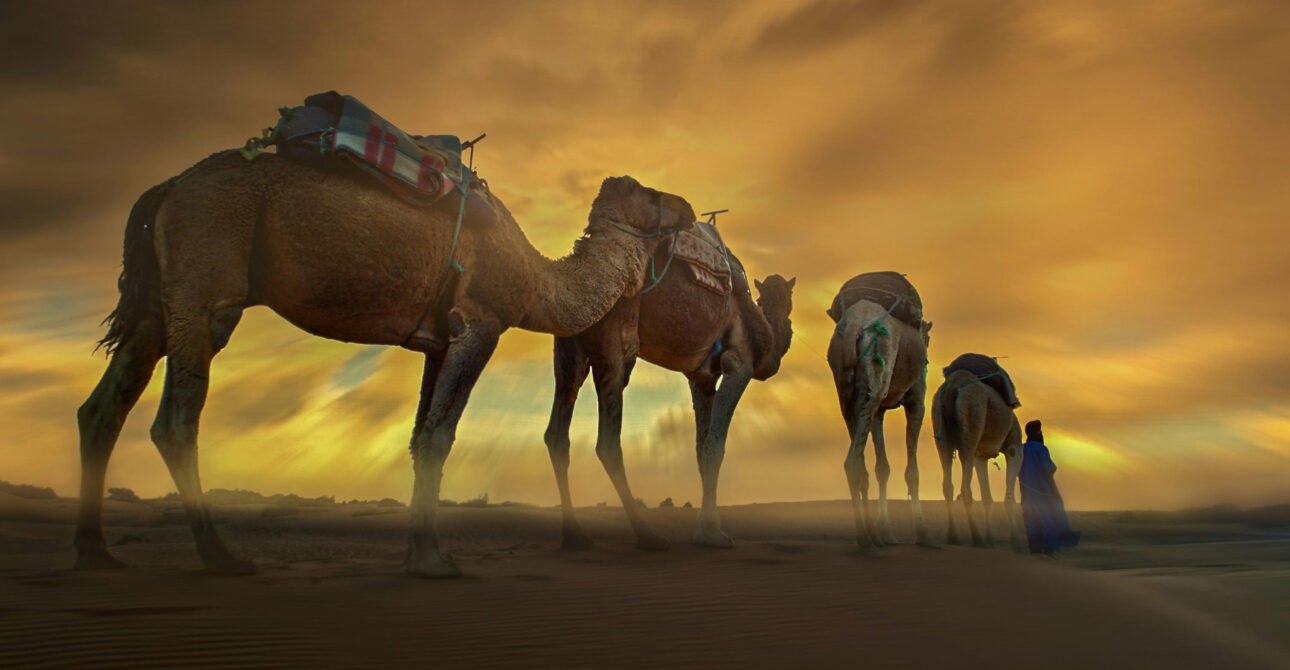 Agafay Desert Camel Ride with Sunset & Traditional Dinner Show